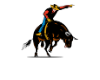 Bull Riding