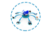 TSSN